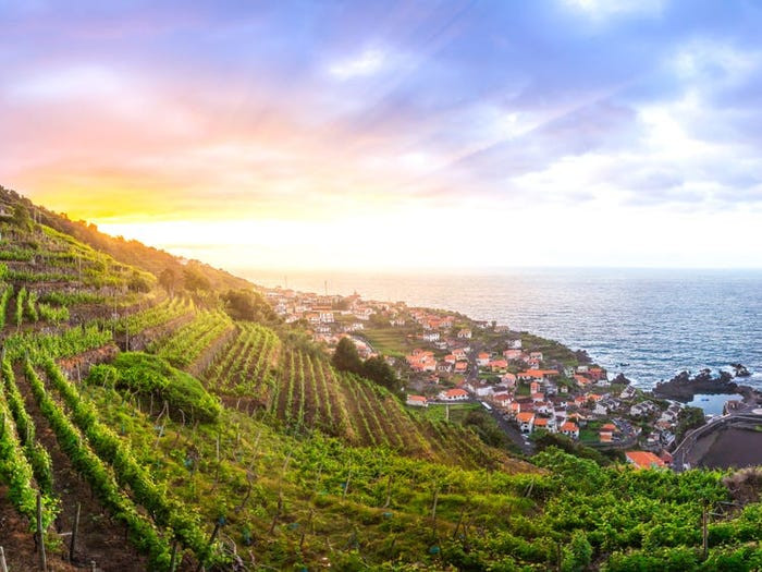 Đảo Madeira cũng nổi tiếng với loại rượu cùng tên Madeira, một thức uống ngon và bổ dưỡng.