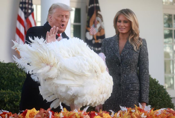 Đệ nhất phu nhân Mỹ Melania Trump xuất hiện bên cạnh Tổng thống Trump trong buổi lễ xá tội gà tây hôm 24/11.