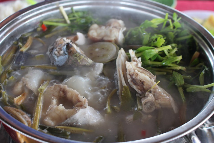 Cá vồ chó có thể làm được nhiều món nhưng nhiều người cho rằng cá vồ chó thịt béo, mềm, ngọt, thơm nên rất thích hợp làm món lẩu chua cơm mẻ. Ảnh: Báo Cà Mau.