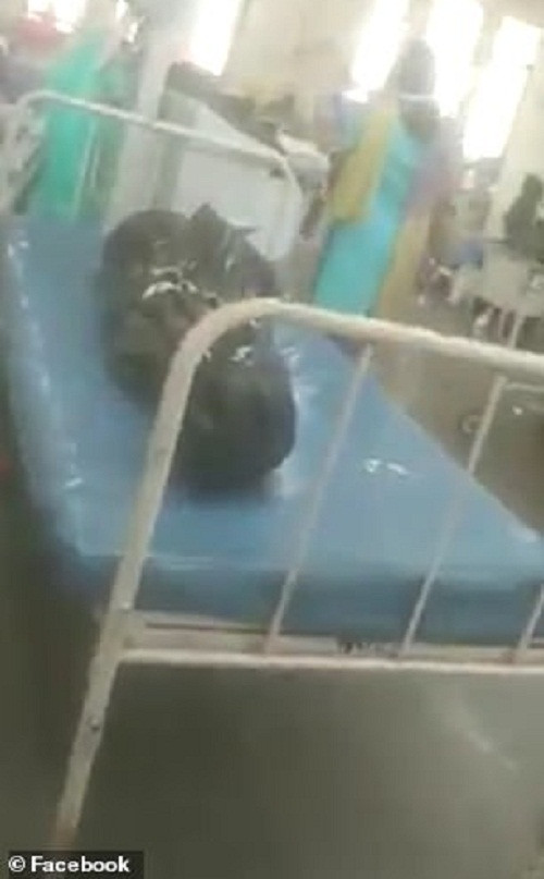 Đoạn video được một người đàn ông quay nhưng không để lộ mặt. Những cảnh quay cho thấy khoảng 10 bệnh nhân COVID-19 đang được điều trị trong một căn phòng tại Bệnh viện Lokmanya Tilak. Ngoài ra có những thi thể được bọc trong túi nilon màu đen đặt trên bàn hoặc giường bệnh, gần những chiếc giường dành cho bệnh nhân COVID-19 còn sống.
