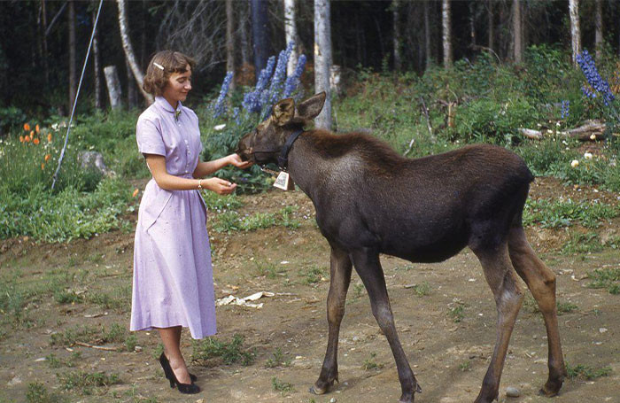 Người phụ nữ trong bức ảnh chụp ở Alaska năm 1952.