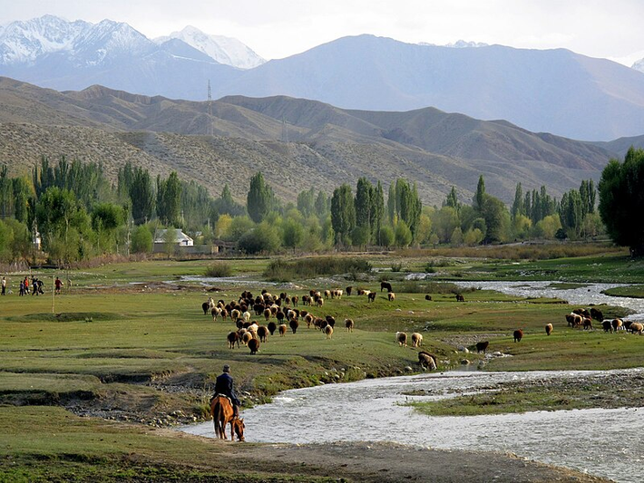 Rừng óc chó lớn nhất thế giới nằm ở Kyrgyzstan. Ảnh: Wikipedia.