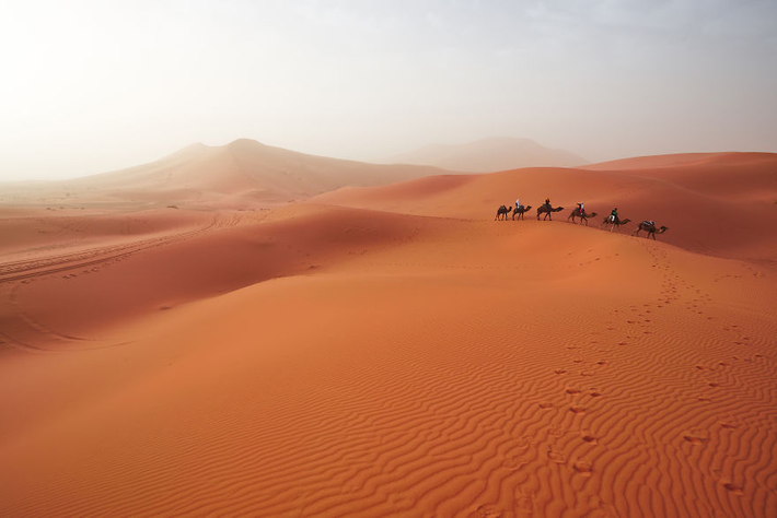 "Mỗi nơi ở đất nước này đều có vẻ đẹp riêng, từ Marrakech đến Ait Ben Haddou, từ sa mạc Sahara đến Fez", nhiếp ảnh gia chia sẻ.