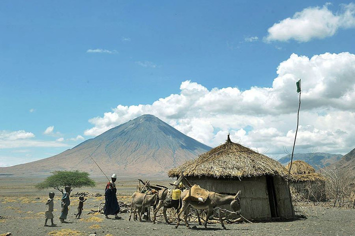 Người đàn ông dắt lừa trong ngôi làng Maasai dưới chân núi Lengai.