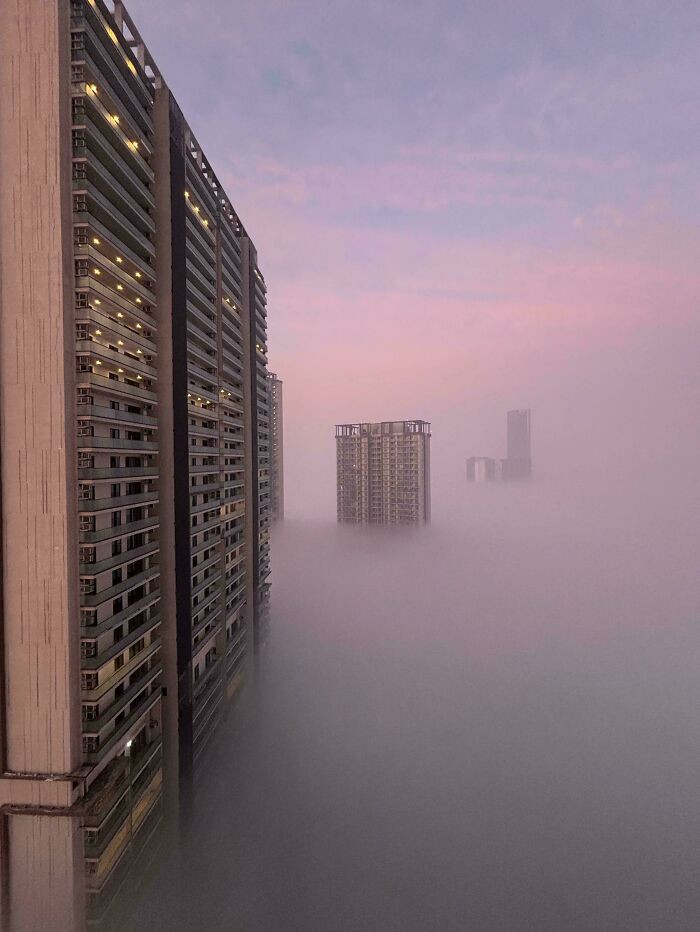 Sương mù ở Gurugram, Ấn Độ.