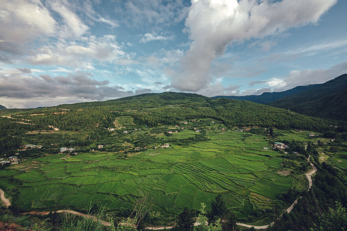 Ở Bhutan, phần lớn lúa được trồng theo kiểu ruộng bậc thang.