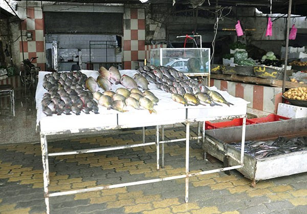 Còn đây là gian hàng bán cá trong khu chợ.