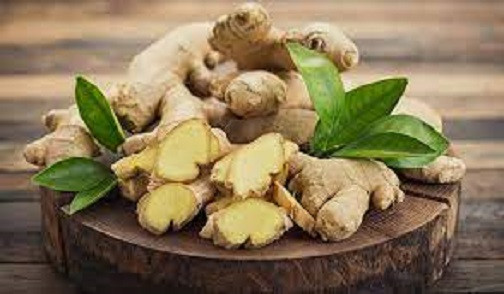 3. Gừng ngâm giấm trắng có thể làm mềm mạch máu và hạ lipid máu. Nó còn có tác dụng hỗ trợ điều trị viêm khớp. Nói chung, những người máu đặc có thể ăn gừng ngâm giấm để thúc đẩy quá trình tuần hoàn máu, ngăn ngừa bệnh cao huyết áp.