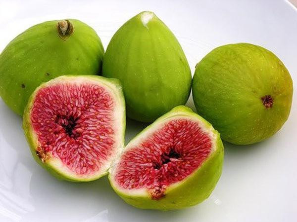 Quả sung: Quả sung có chứa nhiều axit malic và axit oxalic có lợi cho sức khỏe con người. Không chỉ đóng vai trò chống viêm, sưng tấy, quả sung còn thúc đẩy dạ dày và ruột tiêu hóa thức ăn hiệu quả hơn. Ngoài ra, sung cũng đóng vai trò giữ ấm và giữ ẩm cho cổ họng và phổi, rất hữu ích cho sức khỏe hệ hô hấp.