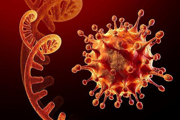 Vị chuyên gia người Nga còn cho rằng, Omicron có thể dẫn virus SARS-CoV-2 đi vào con đường trở thành căn bệnh đường hô hấp theo mùa trong tương lai.