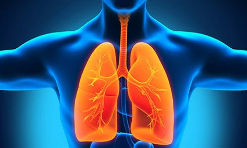 Tập thể dục, không hút thuốc và tránh môi trường ô nhiễm là cách phổ biến nhất để đảm bảo phổi được khỏe mạnh ở mỗi người. Tuy nhiên, một chế độ ăn đúng cách cũng đóng một vai trò lớn trong việc chăm sóc sức khỏe cho lá phổi của bạn. Đây là lý do tại sao việc kết hợp những thực phẩm dưới đây vào chế độ ăn lại quan trọng để giữ sạch phổi và làm mới cuộc sống của bạn.