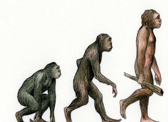 Khoảng 25% người Mỹ rằng thuyết tiến hóa của Darwin không có thực.