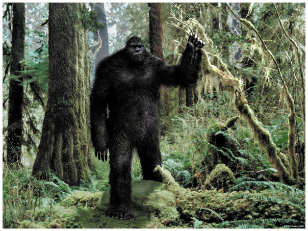 Hơn 1/3 người Mỹ đồng tình với ý kiến rằng Bigfoot (loài sinh vật có bàn chân khổng lồ) thực sự tồn tại.