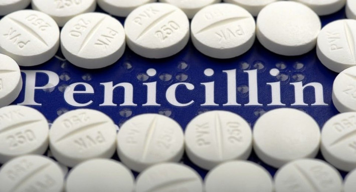 Trong Chiến tranh Thế giới thứ 2, penicillin được chiết xuất từ nước tiểu của chính những binh sĩ đã sử dụng thuốc kháng sinh này.