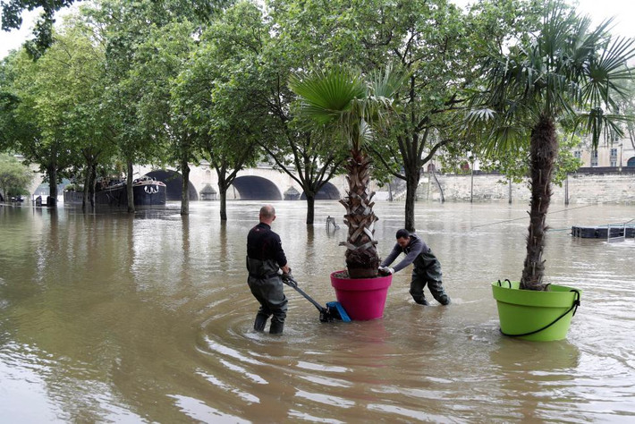 Các công nhân di chuyển một chậu cây từ bờ sông Seine ở Paris hôm 1/6.
