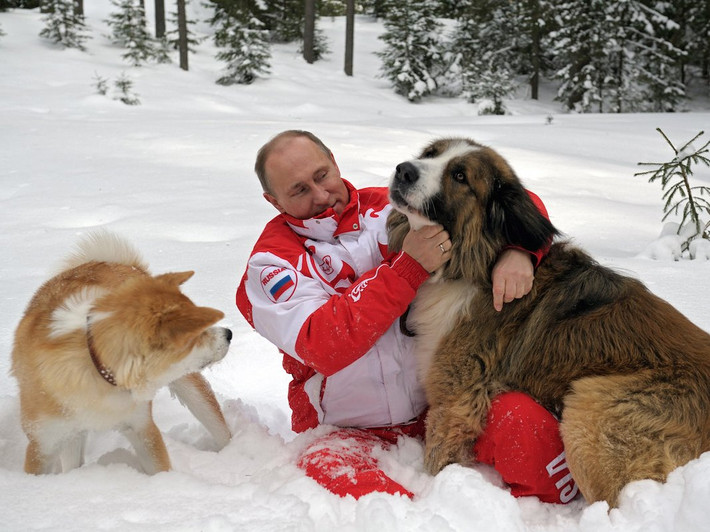 Tổng thống Putin là người yêu động vật. Ông nuôi ba chú chó là Konni, Yume và Buffy. Ảnh: BI.