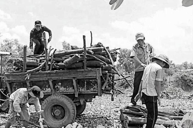 Dù cố gắng hết sức, nhưng ở đây, một người lao động khỏe nhất cũng chỉ kiếm được tối đa một vài mét củi cho một ngày lao động cực lực. Theo những “tiều phu” này, thì hiện tại, thu nhập từ nghề mót củi này khá bấp bênh, thỉnh thoảng làm từ 1 tuần trở lên mới được 1 xe ba gác bán được 250 nghìn đồng. Còn củi lớn khoảng 2-3 tháng tích góp mới được 1 xe máy cày (công nông) bán được với giá 700 nghìn.