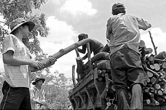 Mới 14 tuổi đời, cái tuổi lẽ ra phải cắp sách đến trường, lẽ ra phải được hồn nhiên vui chơi như bao bạn bè cùng trang lứa khác, thế nhưng, cậu bé đáng thương đã phải bước vào đời với cuộc sống mưu sinh đầy khó nhọc.