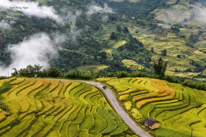 Không giống như ruộng bậc thang ở những nơi khác, đến Y Tý bạn có thể bất chợt gặp những biển mây tràn trên ruộng.