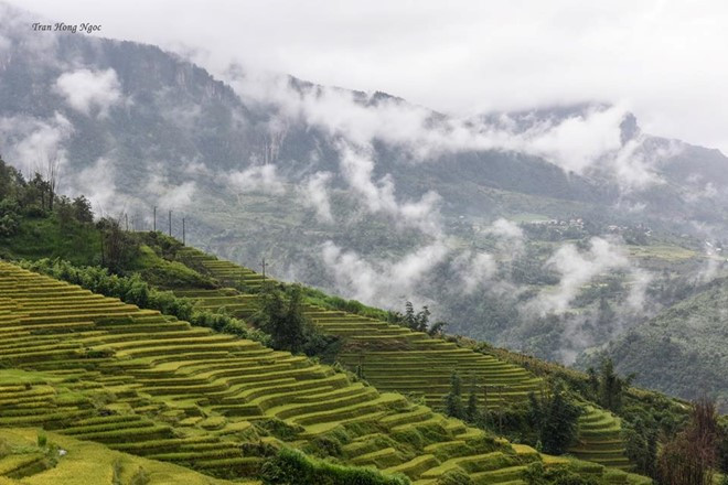 Leo lên những đỉnh cao nhìn xuống, thấy mây len lỏi giữa các ngọn cây như những sợi tơ, tôi chợt ngỡ ngàng trước thiên nhiên diệu kỳ. Phải chăng tôi đã phải lòng nơi này?