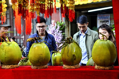 Những quả dừa độc đáo thu hút khá nhiều người.