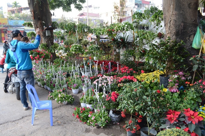 Chợ hoa Hoàng Hoa Thám Chợ hoa Tết đẹp nên đến khi du lịch Hà Nội này còn được gọi là chợ hoa đường Bưởi, bởi nó bắt đầu từ dốc chợ Bưởi và kéo dài đến đường Hoàng Hoa Thám. So với các nơi khác, chợ hoa Hoàng Hoa Thám có đặc biệt hơn một chút, đó là ngoài hoa và cây cảnh, chợ còn bán cả hạt giống, con giống, vật nuôi và thú cưng…