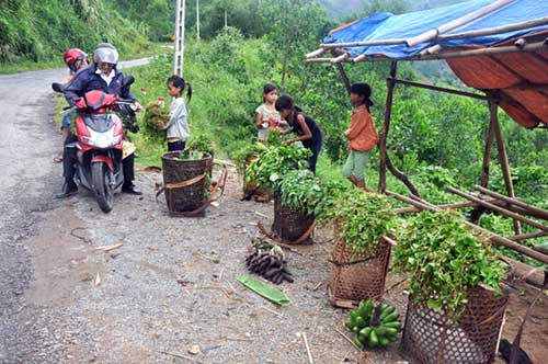 Một điểm bán các loại nông sản ở ven đường huyện Tây Trà.
