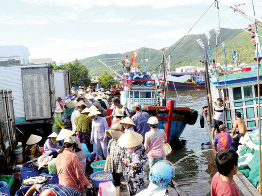 Một góc chợ cá mùa cá Nam.