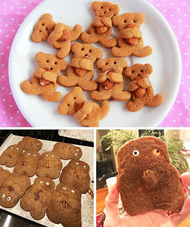 Những chú gấu dễ thương bị biến thành thế này đây.
