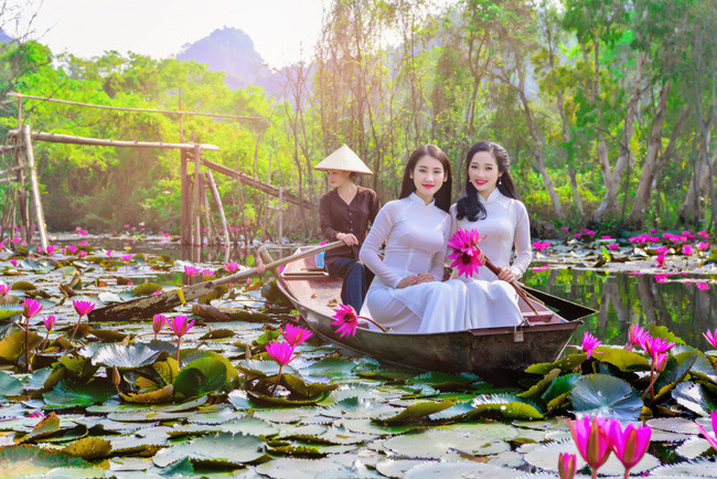 Thiếu nữ khoe sắc mơn mởn bên màu hoa súng rực rỡ.