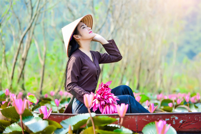 Thiếu nữ Hà thành diện áo nâu, nón lá, khoe sắc bên hồ súng trổ bông rực rỡ.