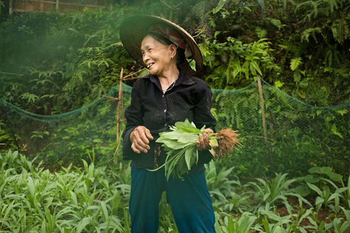 Họ trồng chè, bạc hà, sắn, dâu tằm, cà tím, lúa gạo và một số loại rau.