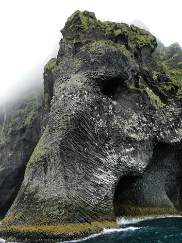 Vách đá trên đảo Heimaey ở miền Nam Iceland trông giống như một con voi khổng lồ ngâm thân của nó xuống biển.
