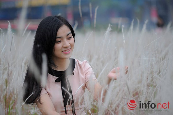 Hoa cỏ lau mỗi khi mọc hoa nhiều với từng đám lớn, trên diện tích rộng, theo kinh nghiệm dân gian của người xưa là dấu hiệu báo mùa bão lũ đã hết.