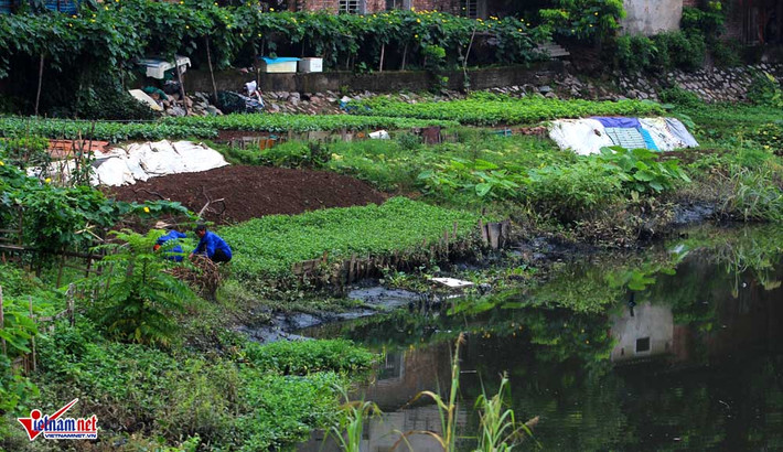 Người dân buộc phải sống chung với ô nhiễm.