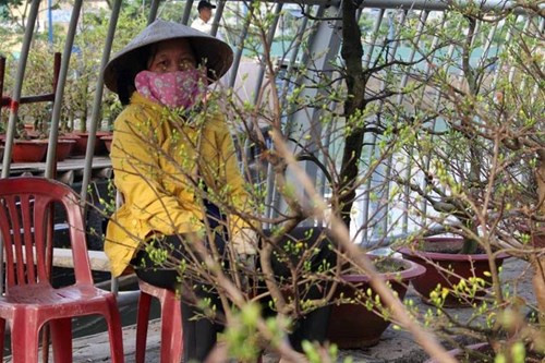 Nhiều tiểu thương ngán ngẩm vì vắng khách. Một tiểu thương buồn bã: “Bán chậm quá! Năm nay không thấy mùa xuân rồi”.