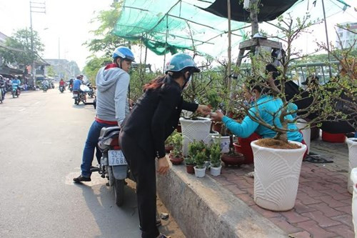 Một tiểu thương quê Tiền Giang hy vọng: “Người ta hay đợi đến sát ngày mới mua, thường là 29 hay 30 Tết, vậy mới dễ trả giá”.