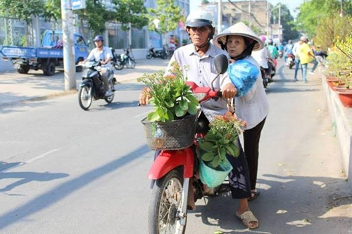 Hai vợ chồng già chọn mua hai chậu hoa sống đời, như ước mong được thêm nhiều cái tết sum vầy bên con cháu.