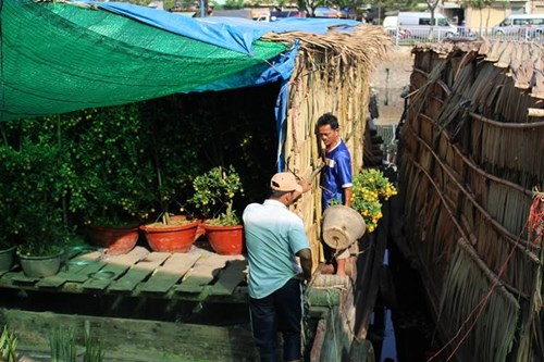 Bà Võ Thị Năm ( quê Cái Mơn, Bến Tre) chia sẻ: “Thuyền tôi mới lên hôm 25 Tết. Tôi mới bán được 3,4 chậu mai với giá 400.000 đồng/1 chậu.