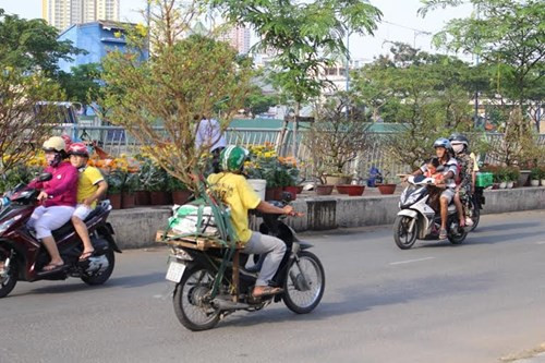 Theo quan sát, mai kiểng là mặt hàng được bán chạy nhất ở chợ. Giá mai kiềng ở đây dao động từ 200.000 đồng đến 3 triệu đồng/ 1 chậu.