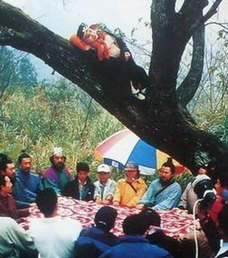 Mã Đức Hoa cheo bẻo trên cành cây vì thiếu chỗ ngồi khi đoàn phim đang họp.
