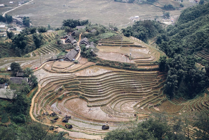 Ruộng bậc thang ở thung lũng Mường Hoa trên đường xuống bản Tả Van - cách trung tâm thị trấn Sa Pa khoảng 8 km.