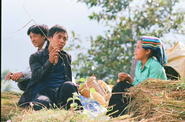 Nụ cười mùa gặt của những chàng trai, cô gái đang tuổi thanh xuân.