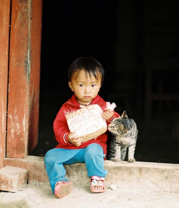 Khi cha mẹ lên nương, trẻ con thường làm bạn với những vật nuôi gần gũi trong nhà như chó, mèo.