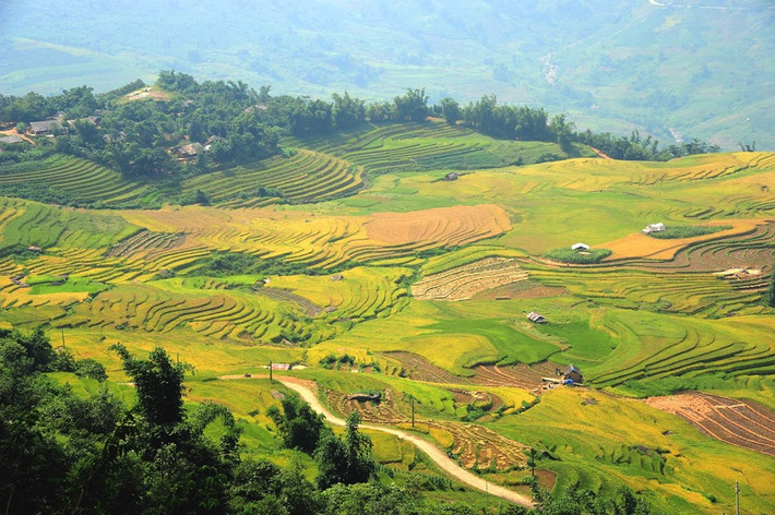 Là một xã miền núi thuộc huyện Bát Xát, tỉnh Lào Cai, Y Tý nằm trên vùng núi đá có độ cao khoảng 2.000 m so với mặt nước biển. Ở độ cao ấy, thời tiết Y Tý đỏng đảnh, sớm nắng, chiều mưa, buổi trưa mù mịt. Ngay cả những người sinh ra và lớn lên trên mảnh đất này cũng không thể dự báo chính xác sự chuyển biến của tiết trời.