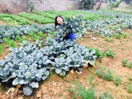 Để con được "ăn sạch" Là dân Tổng hợp Văn lại giỏi cả tiếng Anh lẫn tiếng Hàn, chị Bùi Như Phong (SN 1977) là giáo viên ngoại ngữ, chuyên viên đào tạo cho nhiều công ty, dự án. Chị cũng từng mở trung tâm ngoại ngữ, công ty riêng về đào tạo, tư vấn du học, thu nhập hơn trăm triệu một tháng. Nhưng càng thành công, chị Phong càng day dứt với thực tế rằng mình không thật sự yêu ngành sư phạm. Bé Gia Huy, con trai lớn của chị lại hay bị các bệnh liên quan đến hô hấp. Đến năm 2013, chị Phong quyết định cho con về Hòa Bình sống với bà ngoại để con được hít thở không khí trong lành.