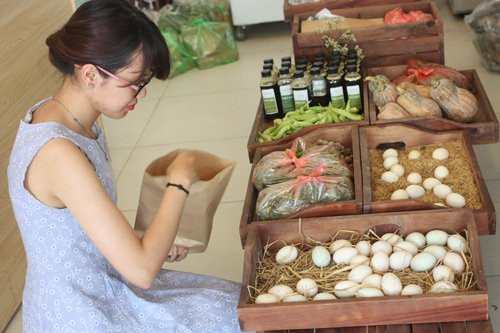 Từ đó, Linh quyết định từ bỏ gần 10 năm sự nghiệp với công việc có mức thu nhập cao ở Singapore, về quê lập nghiệp. Công việc khởi nghiệp mà Linh theo đuổi khiến nhiều người bất ngờ: làm nông nghiệp. Bị người thân phản đối dữ dội nhưng cô vẫn quyết tâm trở về Việt Nam sản xuất thực phẩm sạch. Linh có người cô ruột đã có nhiều năm gây dựng lên trang trại rộng 7 ha, chuyên sản xuất thực phẩm sạch. Tháng 6/2015, cô quyết định xin phép về đó làm cùng rồi cùng bàn bạc tìm ra hướng đổi mới và mở rộng quy mô sản xuất. Đầu năm 2016, cửa hàng thực phẩm hữu cơ đầu tiên của Linh ra đời.