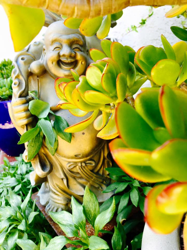 Tượng Phật Di Lặc vui vẻ giữa những hàng cây xanh tươi trong khu vườn.