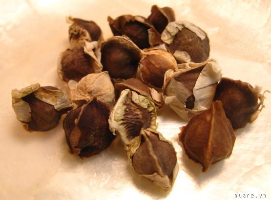 Hạt cây chùm ngây. Giã nát lá đắp lên vết thương giúp trị sưng và nhọt. Lá cũng có thể trộn với mật ong để đắp lên mắt trị sưng đỏ; Dầu được chế từ hạt chùm ngây trị phong thấp; Hạt chùm ngây giúp trị táo bón, mụn cóc và giun sán; Ngoài ra, hạt chùm ngây còn có tác dụng lọc nước. Hạt có chứa các hợp chất “đa điện giải” tự nhiên có thể dùng làm chất kết tủa để làm trong nước.