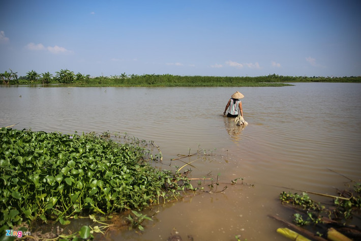 Khu đầm bãi mà bà xin tăng gia gần chục năm nay thuộc đất dự án. Hiện, phường Đồng Mai đang thu hồi để san lấp. Người phụ nữ chia sẻ, cuộc sống gia đình hàng ngày trông vào khu đầm, nay phải trả lại đất nên càng bế tắc.